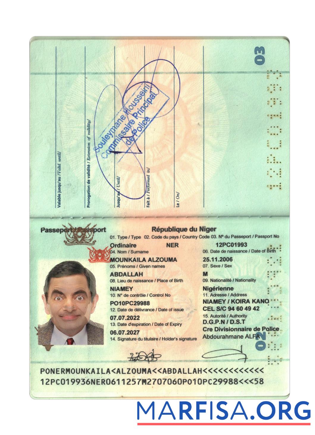 Downloadable Niger Republic passport 2022 present example